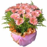 乌兰浩特鲜花速递
