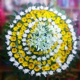 乌兰浩特开业花篮