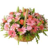 乌兰浩特鲜花速递